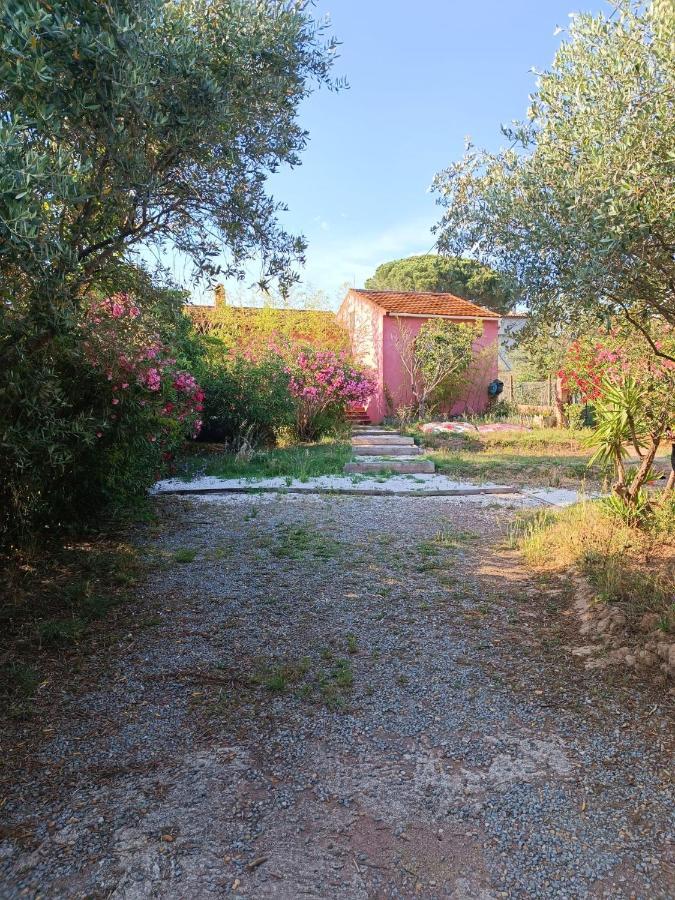 Maison De Vacances, Proche De La Plage Fréjus Buitenkant foto
